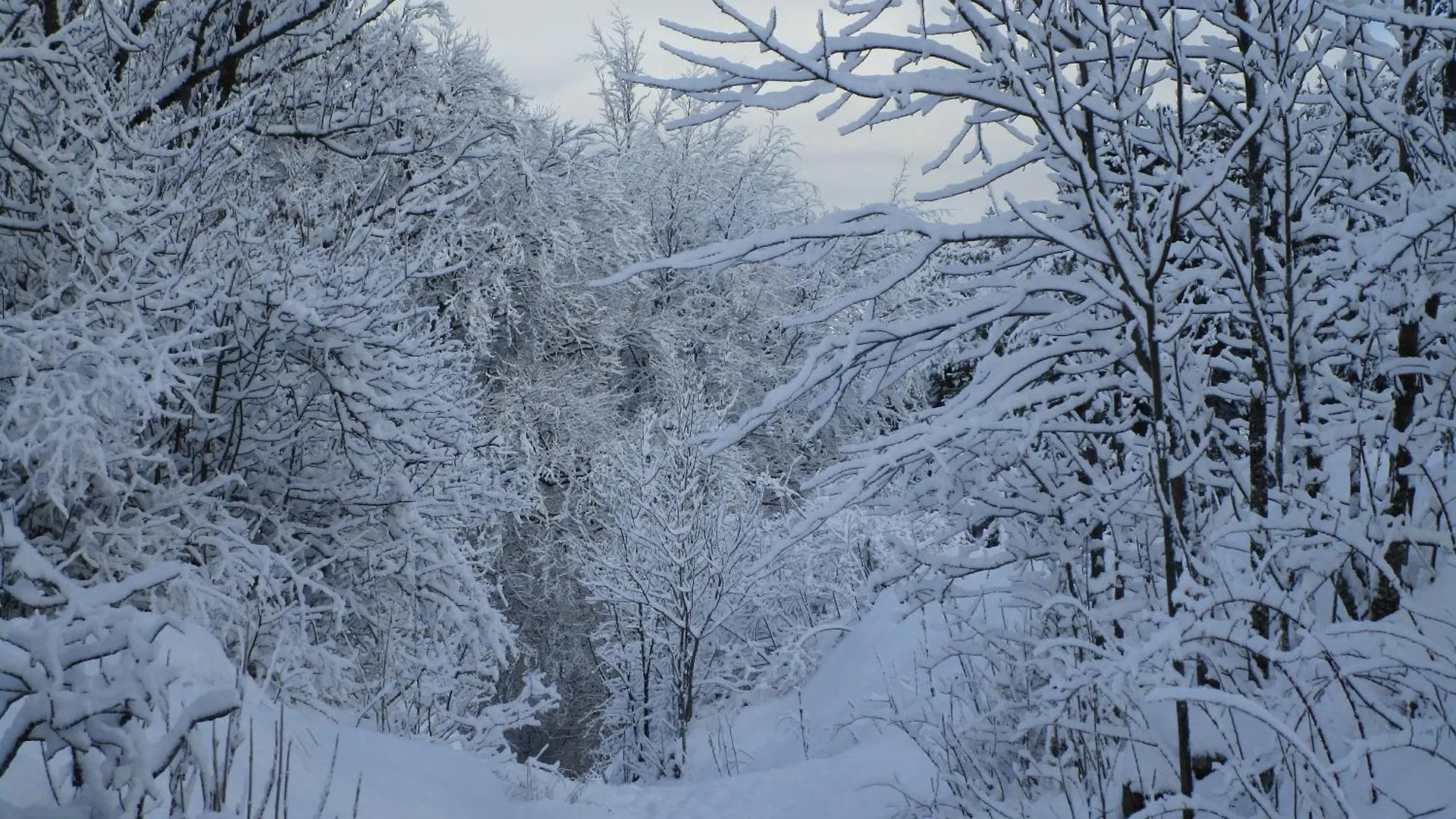 Gite Au Chemin Des Cordonniers Gresse-en-Vercors